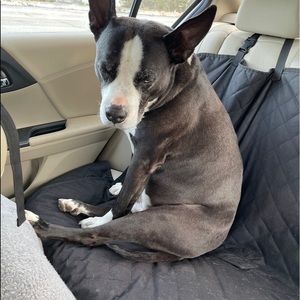 Meet your Posher, Melinda